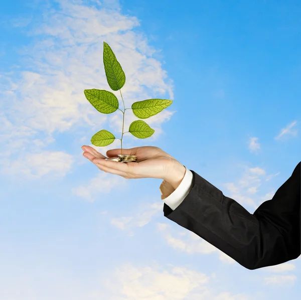 Investing to green business — Stock Photo, Image