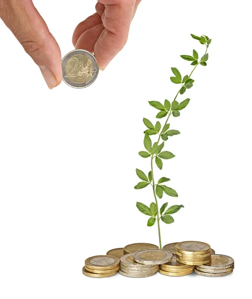 Investing to green business — Stock Photo, Image