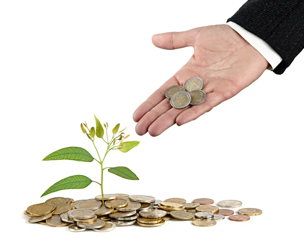 Investing to green business — Stock Photo, Image