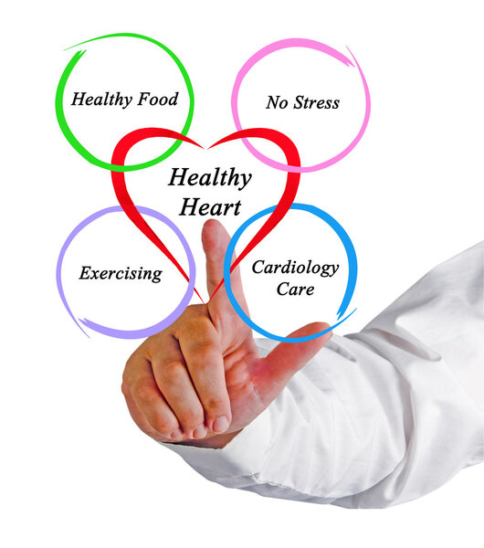 Здоровое сердце