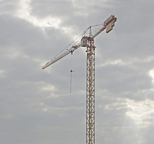 Grue haute — Photo