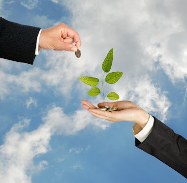 yeşil iş yatırım