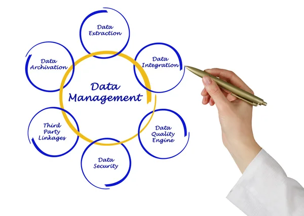 Gestión de datos —  Fotos de Stock