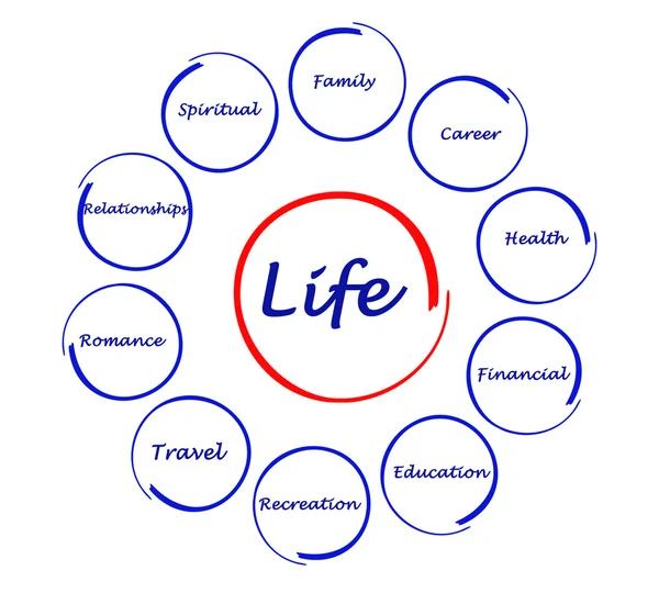 Diagram över livet — Stockfoto