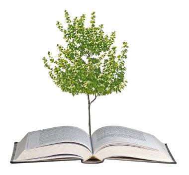 Açık kitap büyüyen ağacı