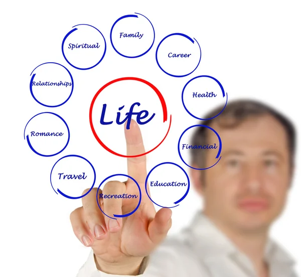 Diagram över livet — Stockfoto