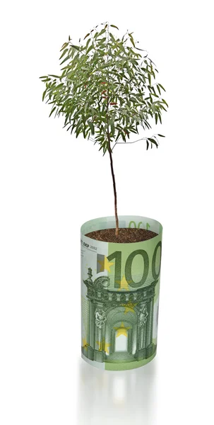 Arbre poussant à partir de billets en euros — Photo