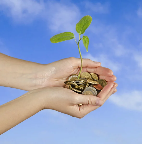 Investing to green business — Stock Photo, Image