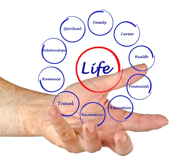 Diagram of life — Stock Photo, Image