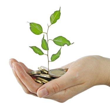 yeşil iş yatırım