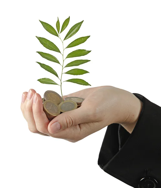 Investing to green business — Stock Photo, Image