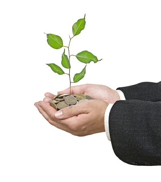 Investing to green business — Stock Photo, Image