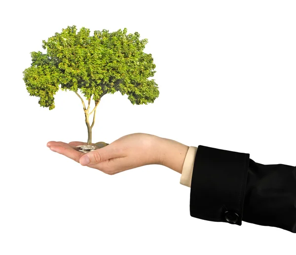 Investing to green business — Stock Photo, Image