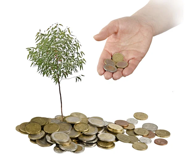 Investing to green business — Stock Photo, Image