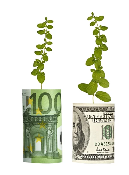 Plants growing from banknotes — Stock Photo, Image
