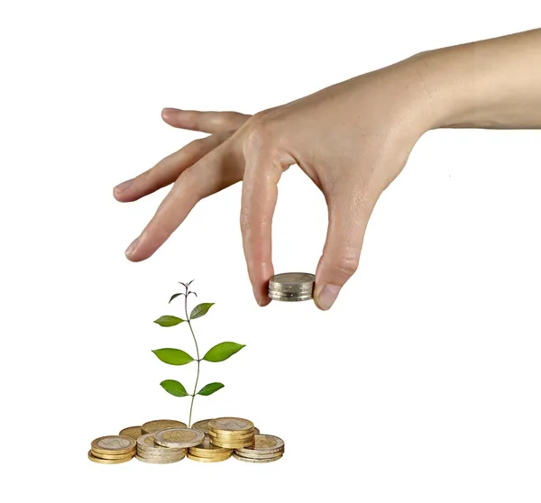 Investing to green business — Stock Photo, Image