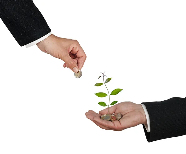 Investing to green business — Stock Photo, Image