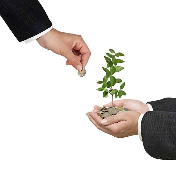 Investice na zelené podnikání — Stock fotografie