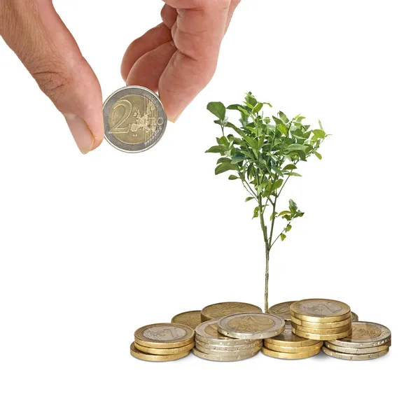 Investment to agriculture — Stock Photo, Image