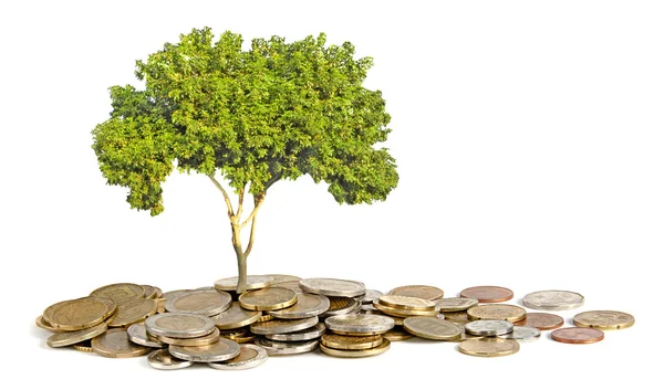 Drzewo rośnie od kupie monety — Zdjęcie stockowe