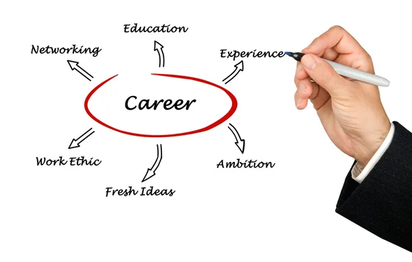 Diagram of career success — Stock Photo, Image