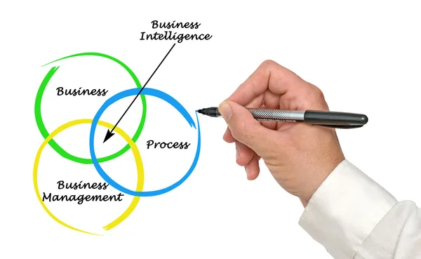 Business Intelligence — Stockfoto