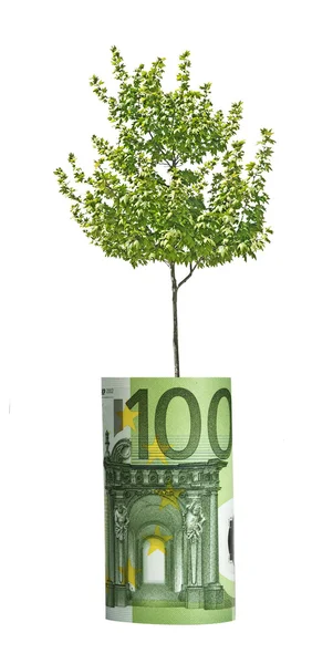 Árvore proveniente da factura euro — Fotografia de Stock