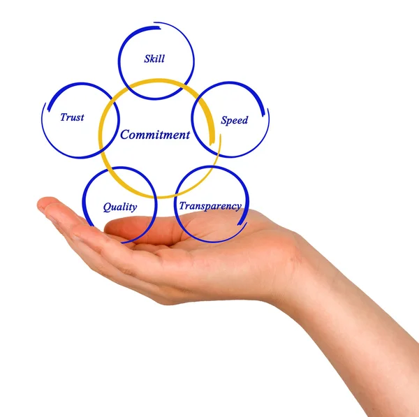 Diagrama de gestión — Foto de Stock