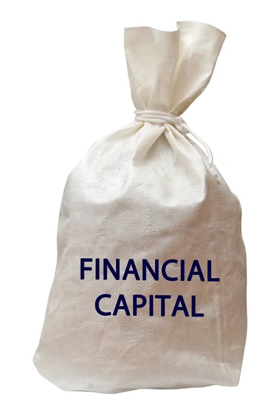 Bolsa com capital — Fotografia de Stock