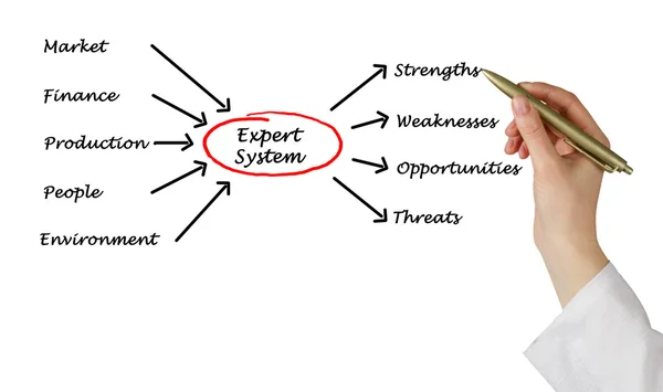 Diagram of expert system