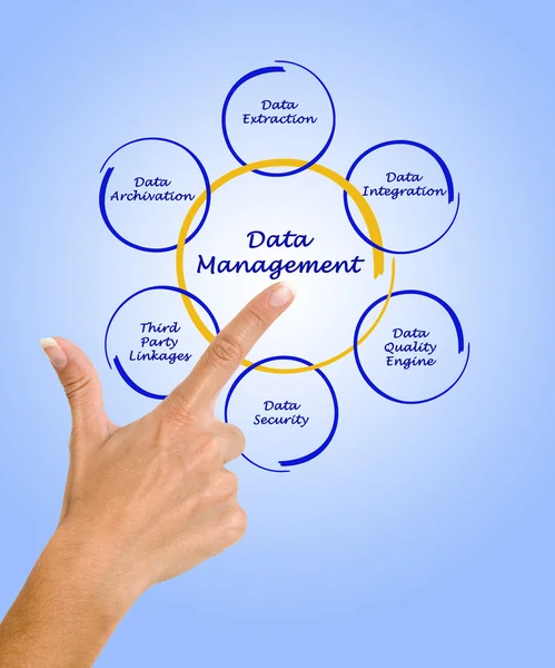 Data Management — Stock Photo, Image