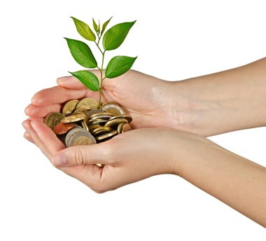 yeşil iş yatırım