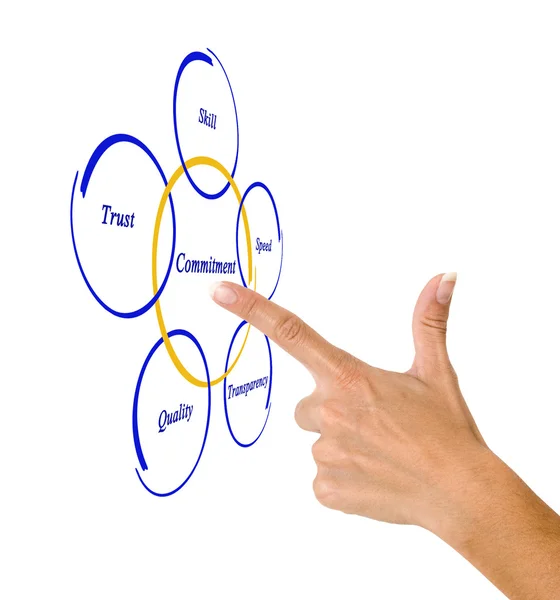 Diagrama de gestión — Foto de Stock