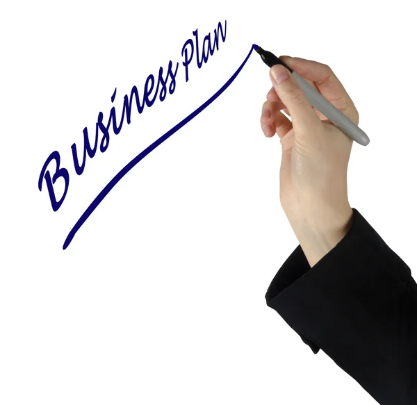 Writing business plan — Stock Photo, Image
