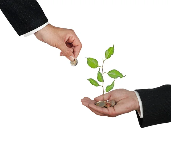 Investera till gröna affärer — Stockfoto