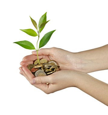 yeşil iş yatırım