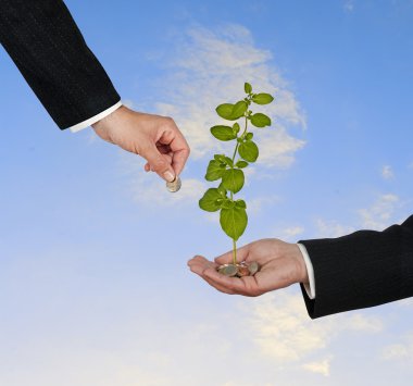 yeşil iş yatırım