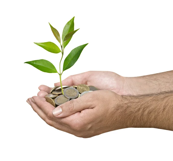 Investing to green business — Stock Photo, Image