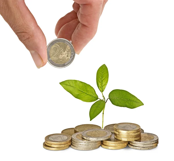 Investice na zelené podnikání — Stock fotografie