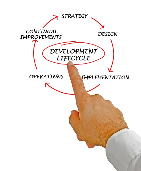 Presentation of development lifecycle — Stock Photo, Image