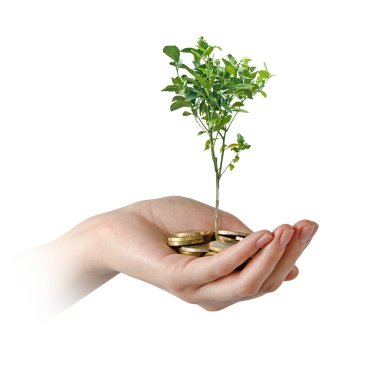 yeşil iş yatırım