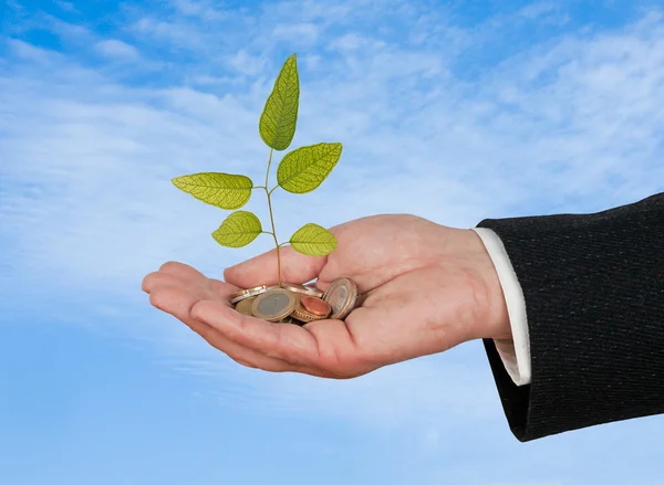 Investing to green business — Stock Photo, Image