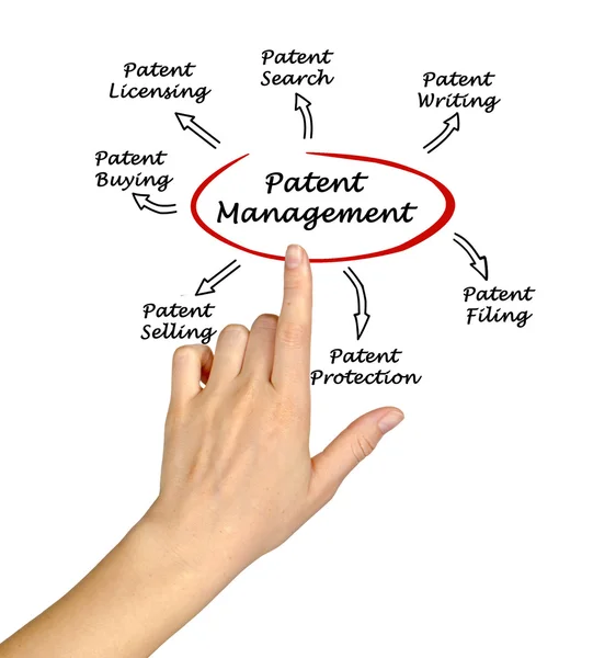 Gestione dei brevetti — Foto Stock