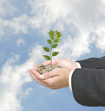 yeşil iş yatırım