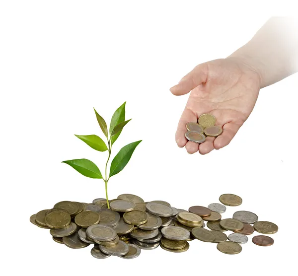 Investing to green business — Stock Photo, Image