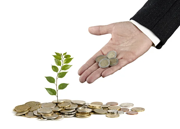 Investing to green business — Stock Photo, Image