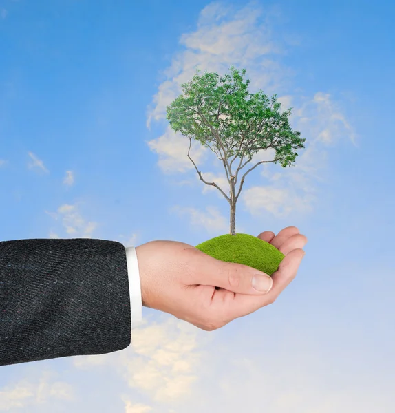 Árbol en las manos — Foto de Stock