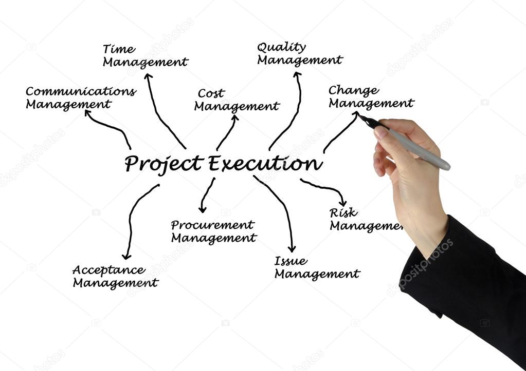 project execution