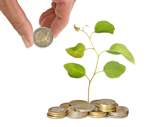 Investing to green business — Stock Photo, Image