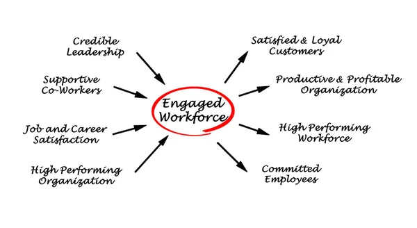 Schemat zaangażowanych pracowników — Zdjęcie stockowe